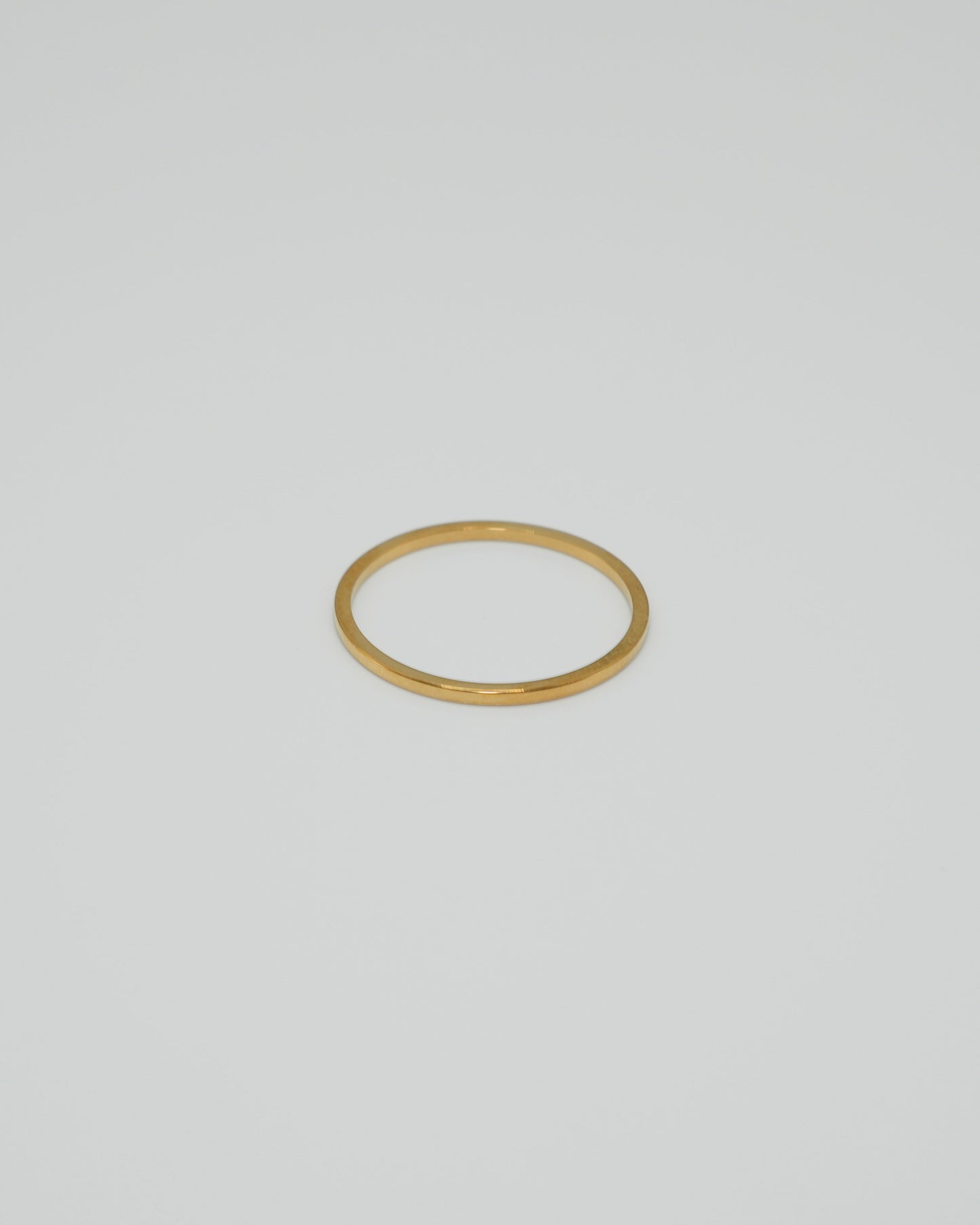 essential slim stainless ring (stainless steel)
