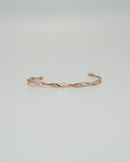 twist line stainless bangle (stainless steel)