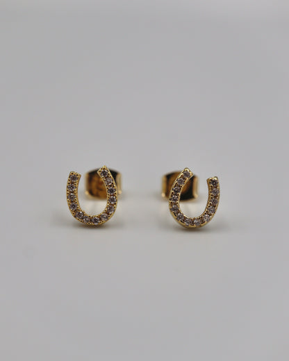 horse shoe pierce