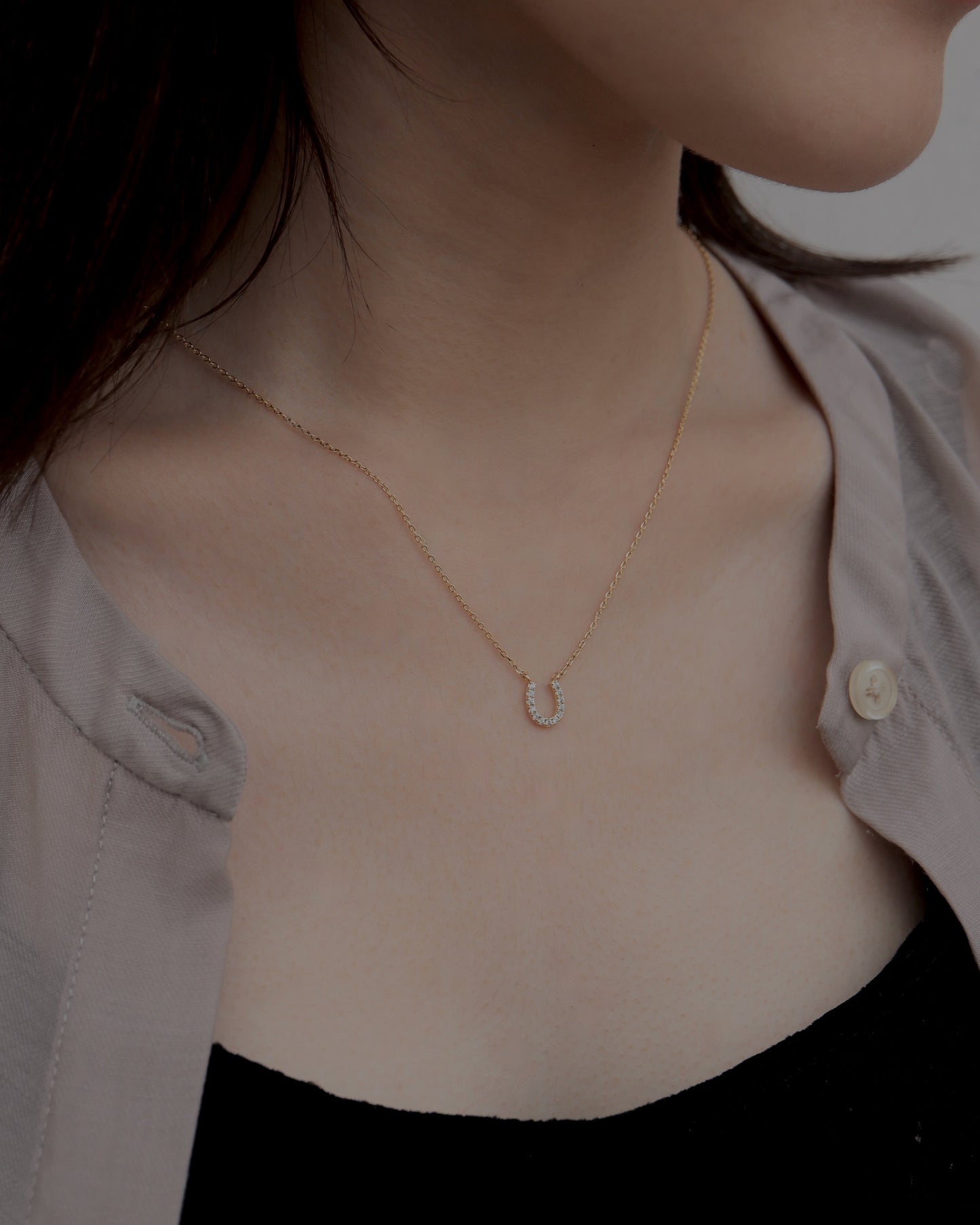 horse shoe necklace