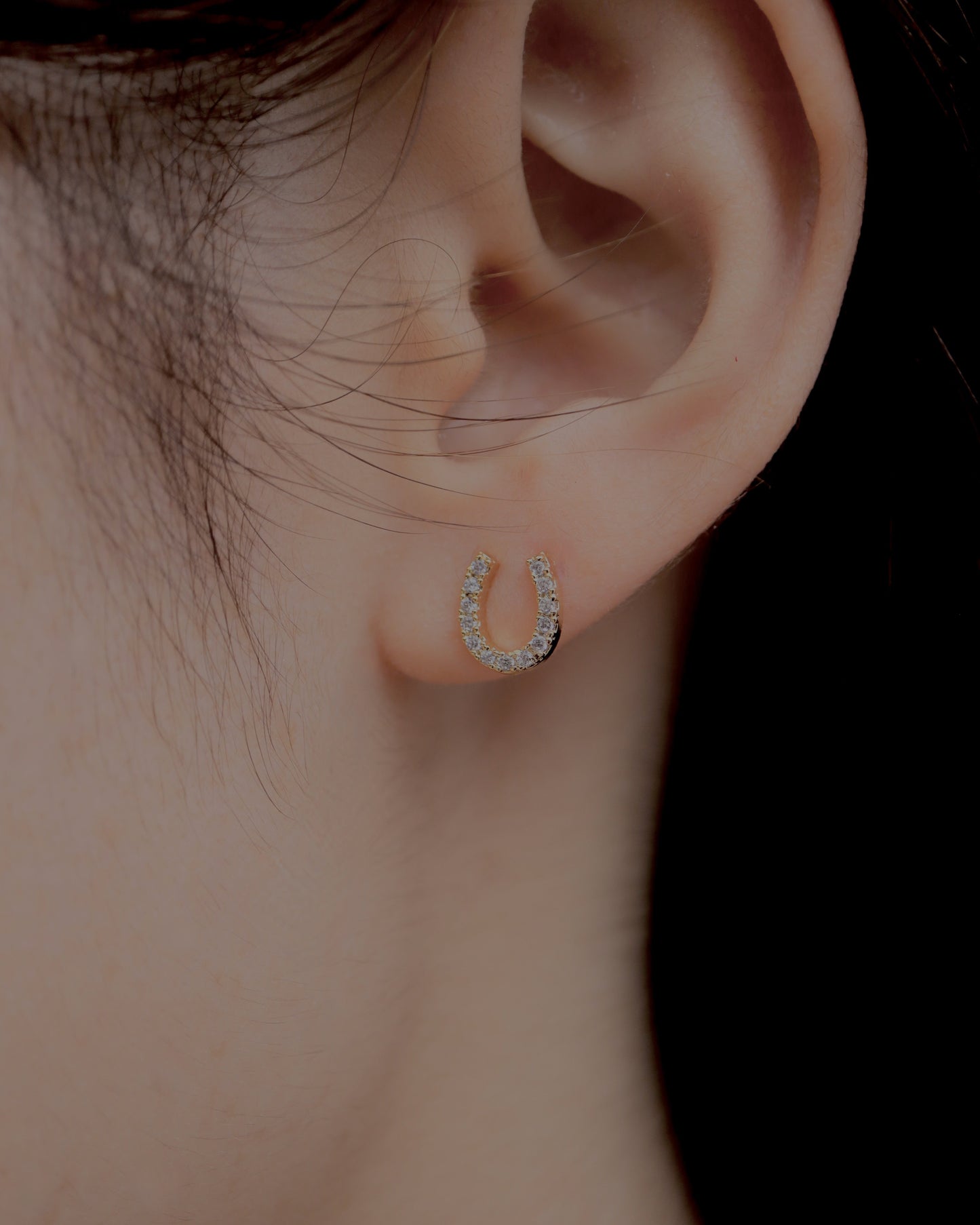 horse shoe pierce