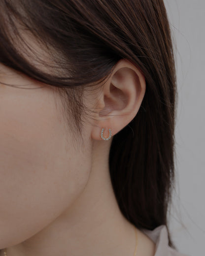 horse shoe pierce
