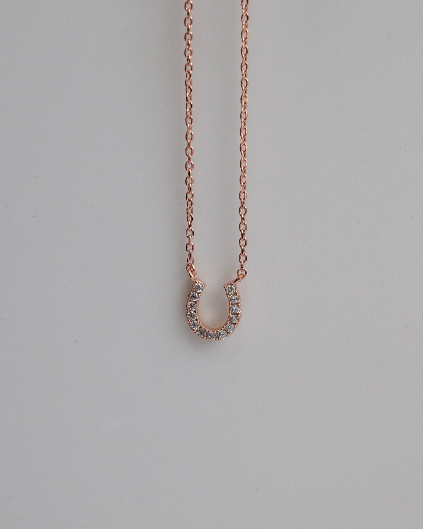 horse shoe necklace