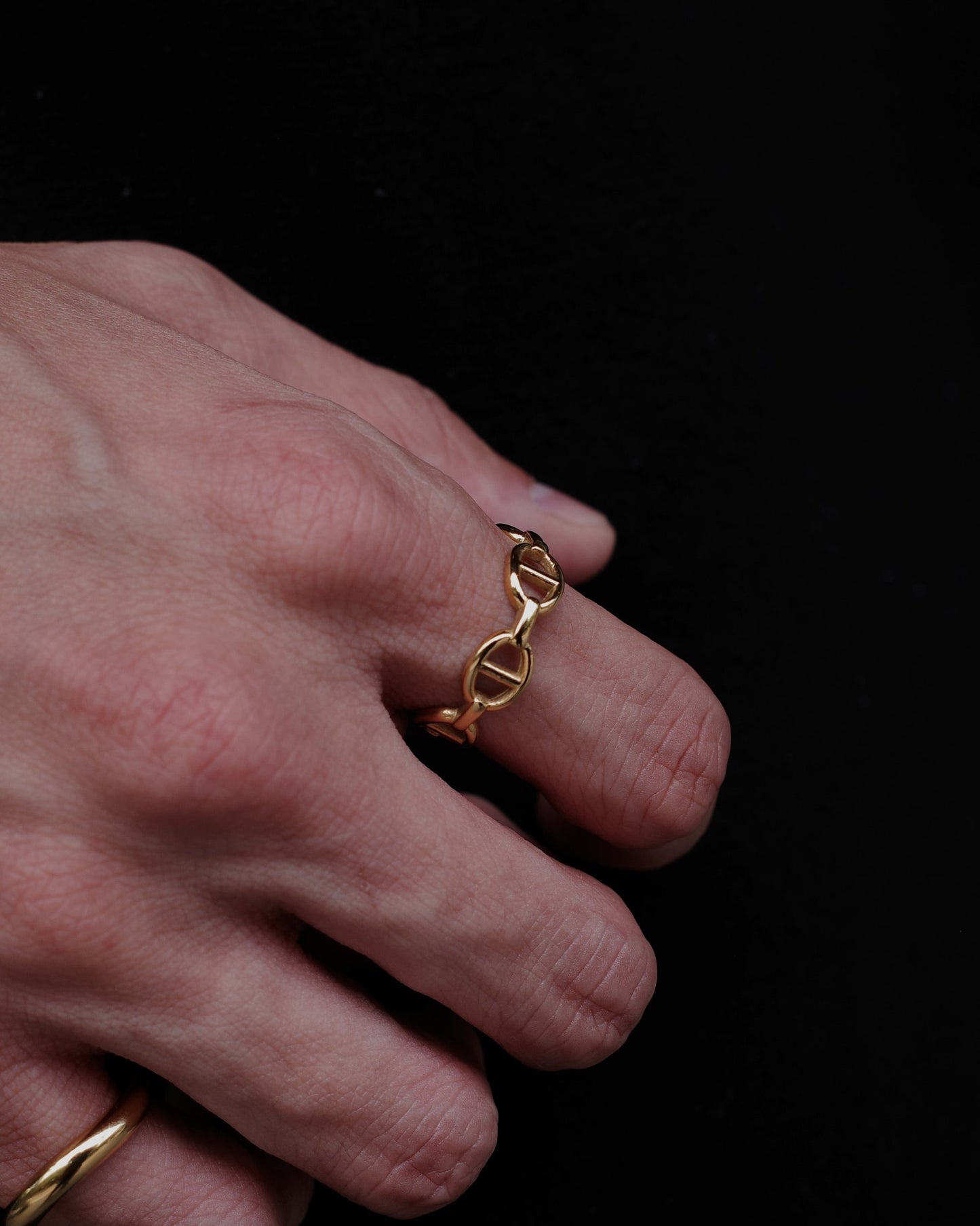 pull tab stainless ring（stainless steel）